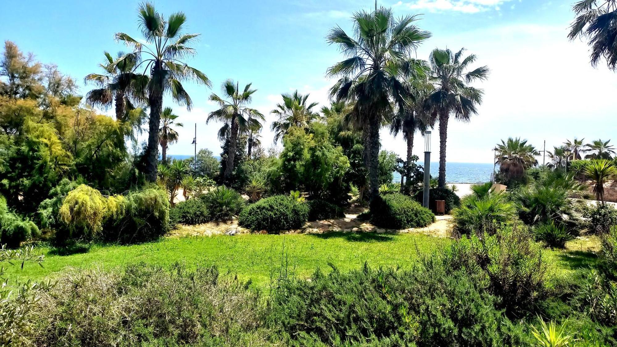Apartament Punta Prima Torrevieja Fantazy01 Zewnętrze zdjęcie