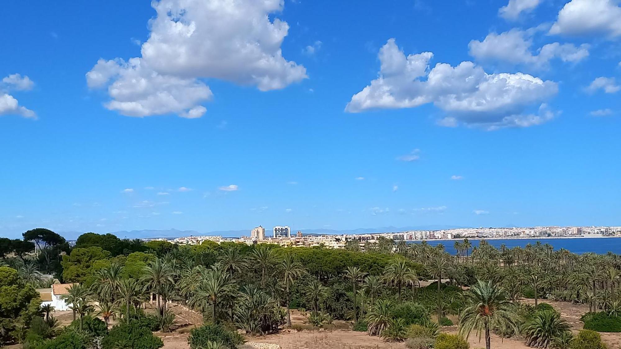Apartament Punta Prima Torrevieja Fantazy01 Zewnętrze zdjęcie