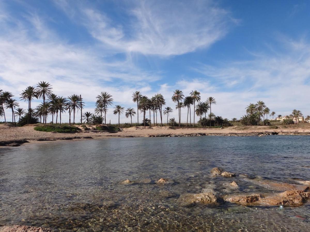 Apartament Punta Prima Torrevieja Fantazy01 Zewnętrze zdjęcie